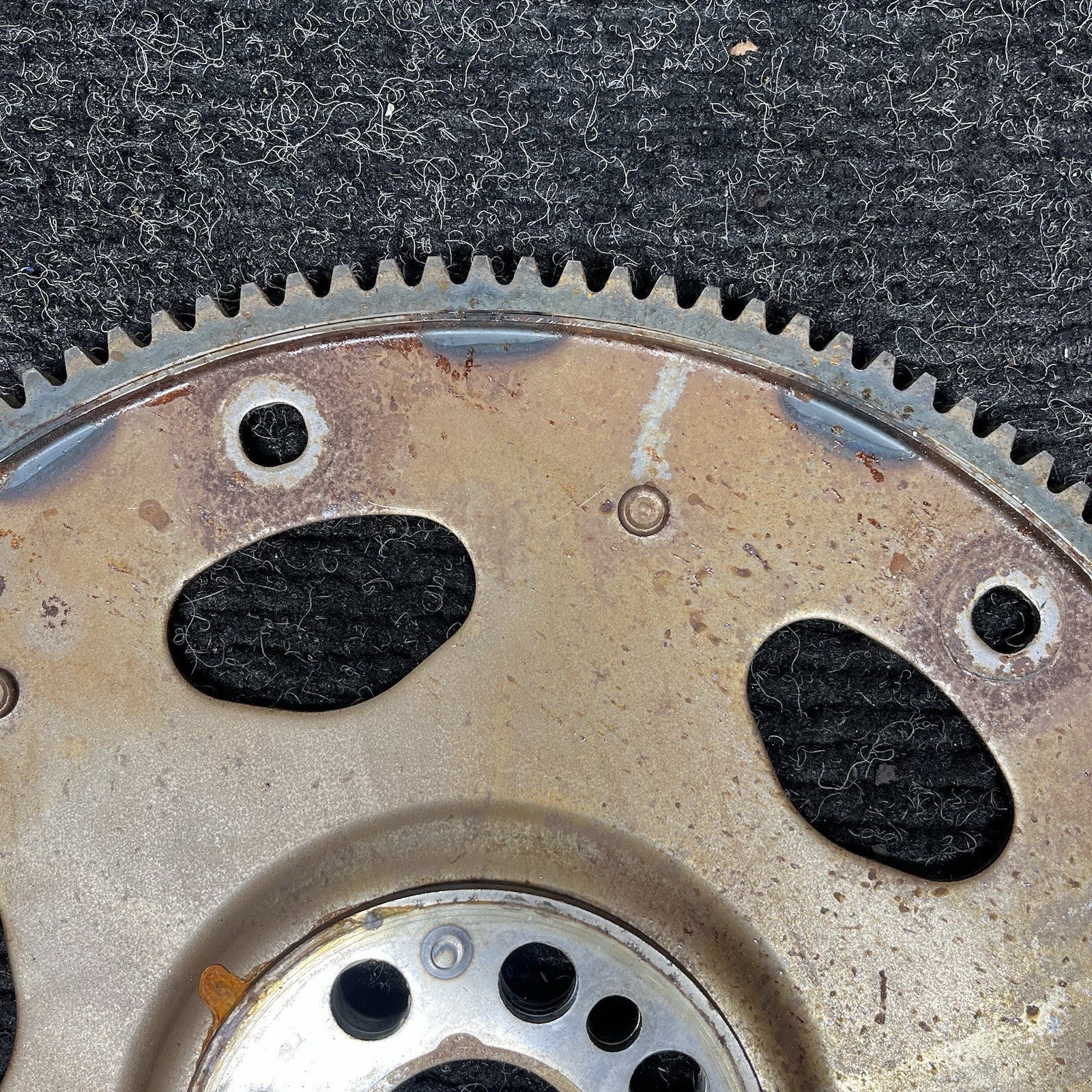 ☑️ 16-21 BMW G30 F30 330i F22 230i B46 B58 Flex Plate Flywheel Auto 861214406