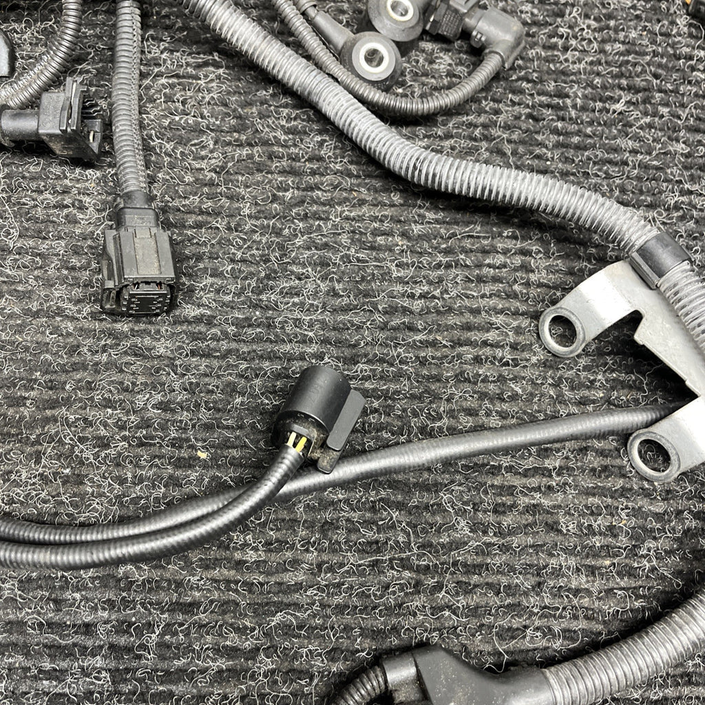 ☑️ N54 Engine Wiring Harness Plug 3.0 BMW E82 E90 E92 135I 335I 335XI OEM AUTO J