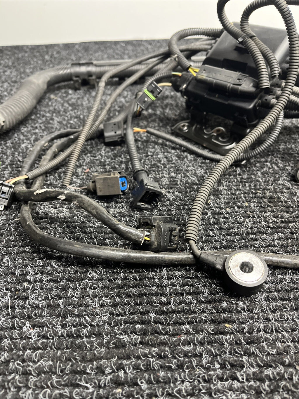 ☑️ N54 Engine Wiring Harness Plug 3.0L BMW E88 E90 E92 135I 335I 335XI OEM