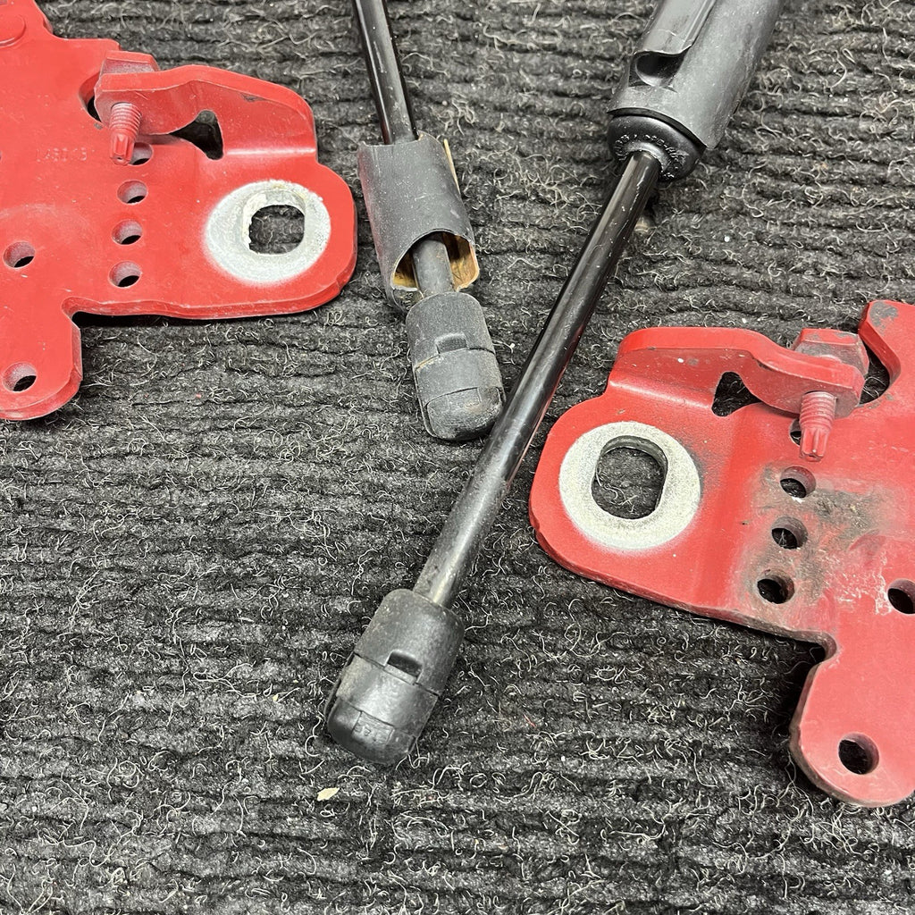 ☑️ OEM BMW F22 F23 F30 F32 F36 F80 F82 F83 F87 Left Right Side Hood Hinge PAIR